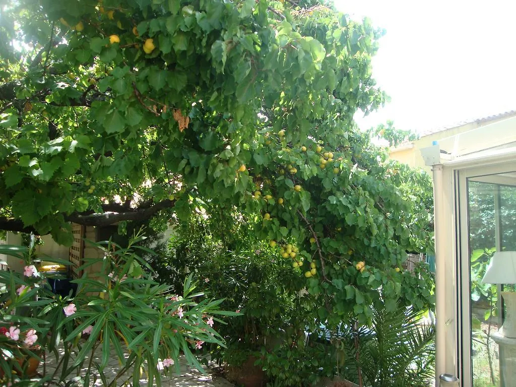 Le Soleil Bleu Bed & Breakfast Frejus 3*,  France
